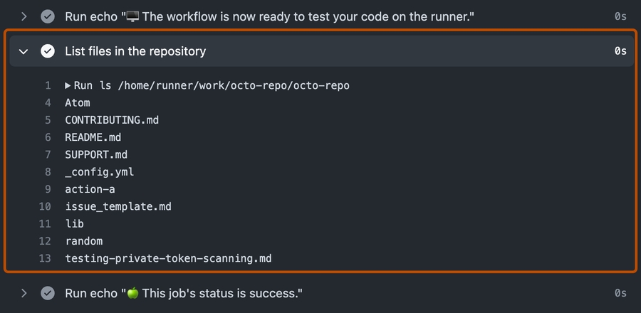 Example action detail